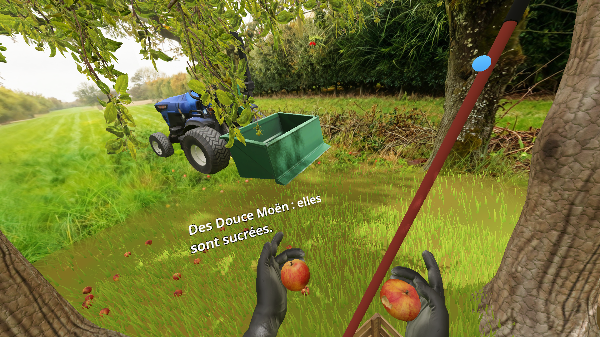 Les mains du visiteur manipulant des pommes en réalité virtuelle